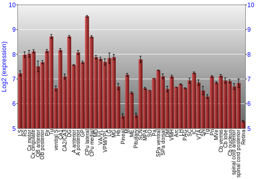 Expression graph