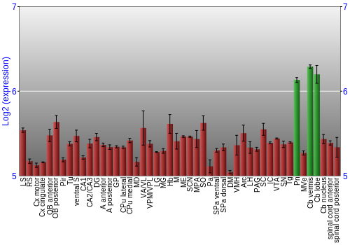 Multi-state expression graph