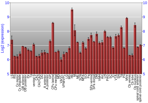Multi-state expression graph