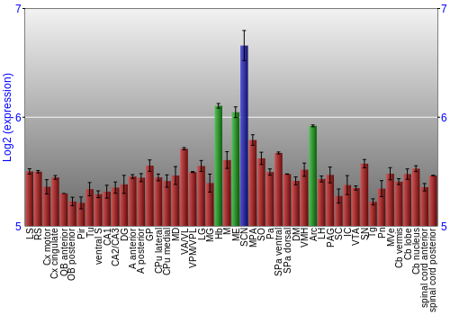 Multi-state expression graph