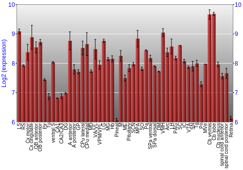 Expression graph