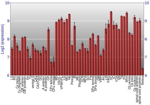 Expression graph