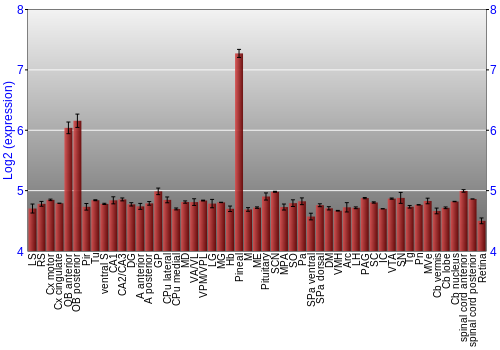 Expression graph