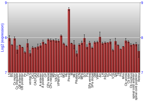 Expression graph