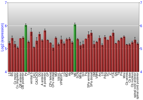 Multi-state expression graph