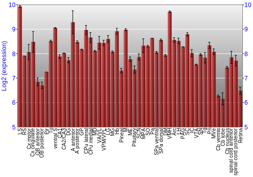 Expression graph