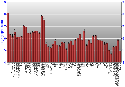 Expression graph