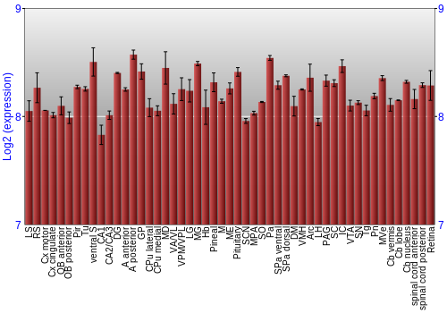 Expression graph