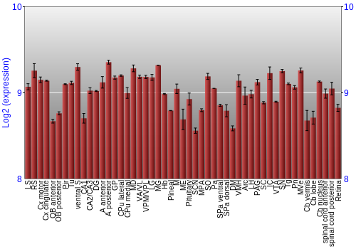 Expression graph