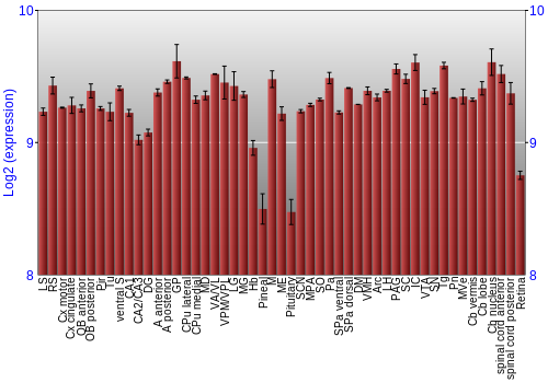 Expression graph