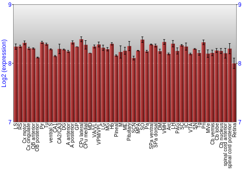 Expression graph