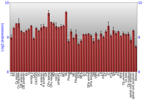 Expression graph