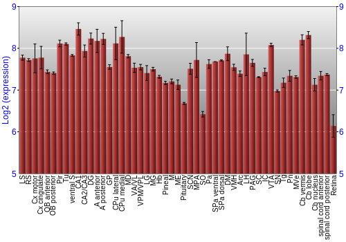 Expression graph