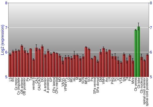 Multi-state expression graph