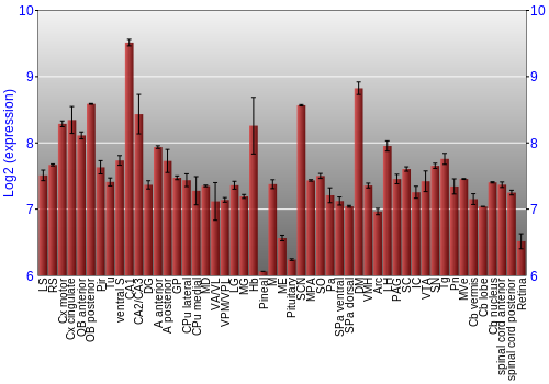 Expression graph