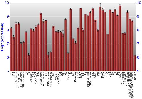 Expression graph