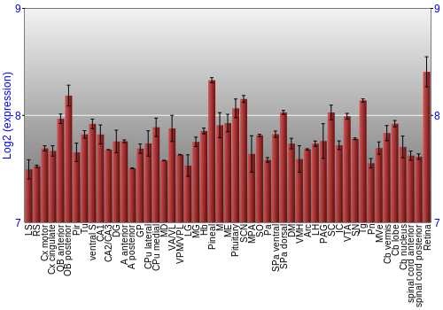 Expression graph