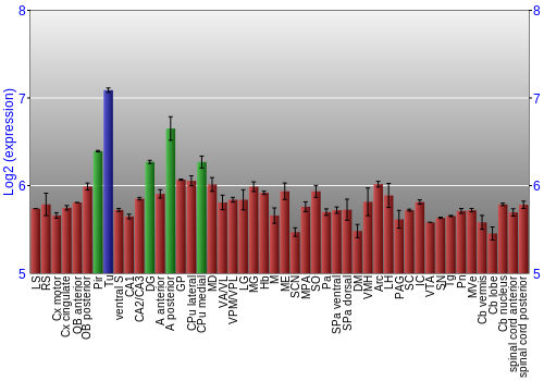 Multi-state expression graph