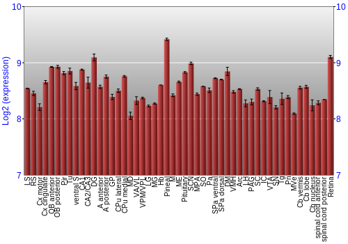 Expression graph