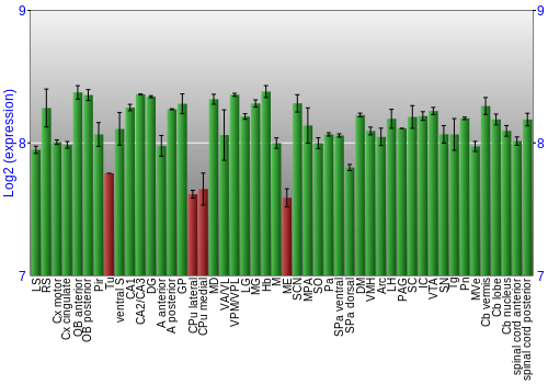 Multi-state expression graph