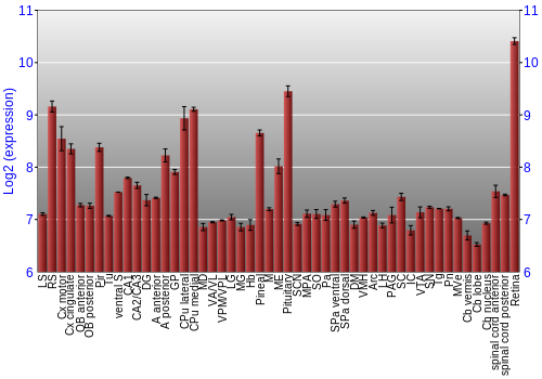 Expression graph