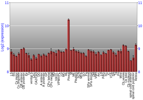 Expression graph