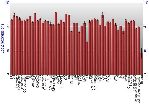Expression graph