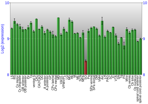 Multi-state expression graph