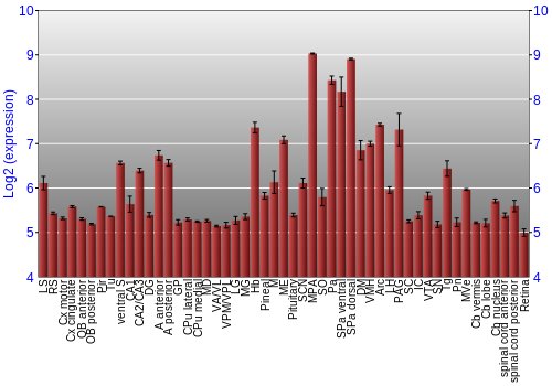 Expression graph