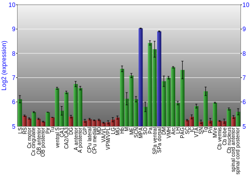 Multi-state expression graph
