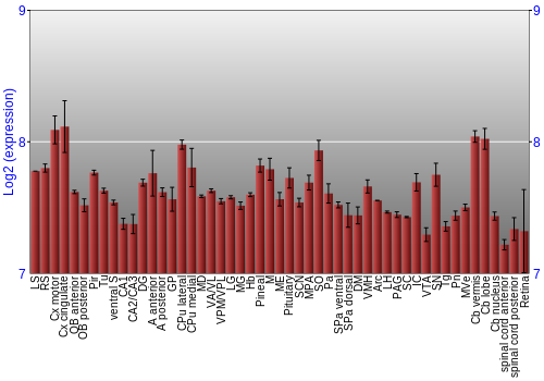 Expression graph