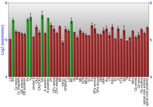 Multi-state expression graph