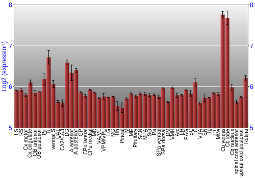 Expression graph
