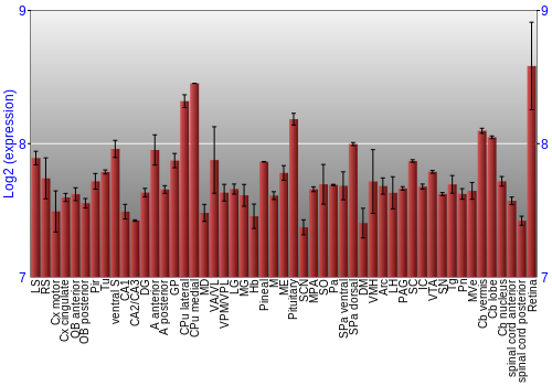 Expression graph