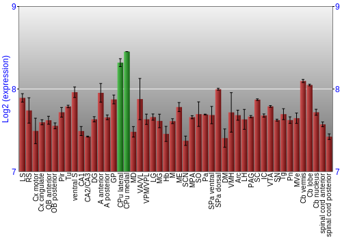 Multi-state expression graph