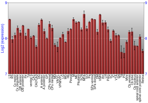 Expression graph