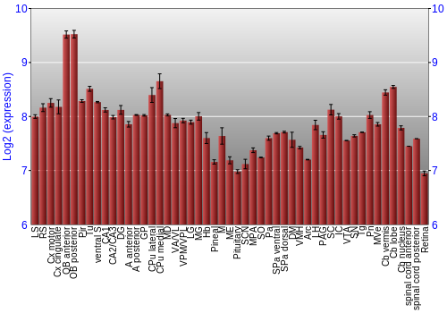 Expression graph