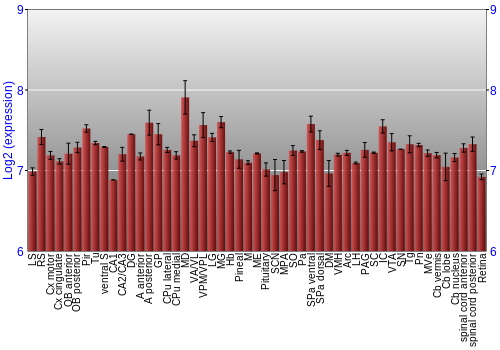 Expression graph