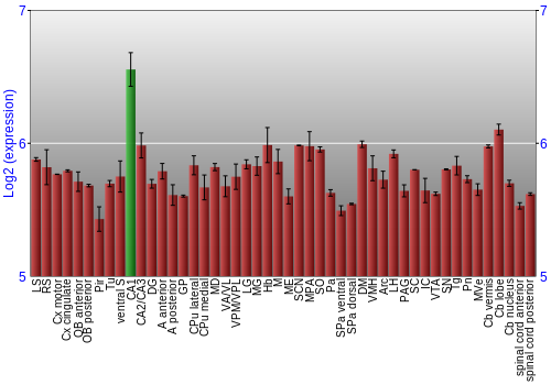 Multi-state expression graph