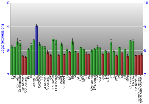 Multi-state expression graph