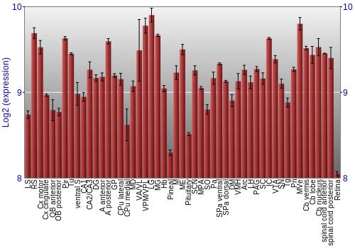 Expression graph