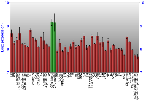 Multi-state expression graph