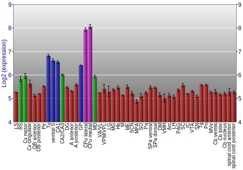 Multi-state expression graph