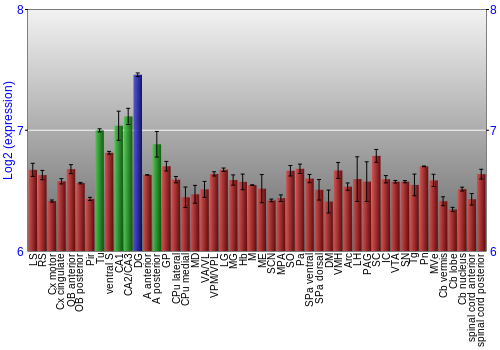 Multi-state expression graph