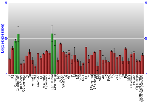 Multi-state expression graph