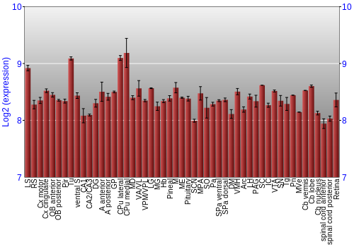 Expression graph