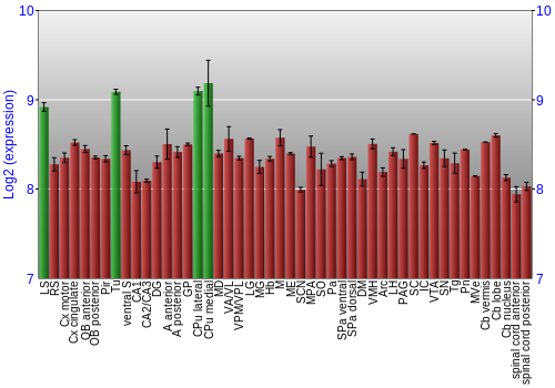 Multi-state expression graph