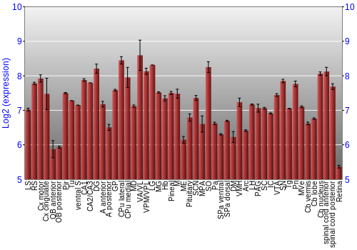 Expression graph