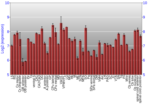 Multi-state expression graph