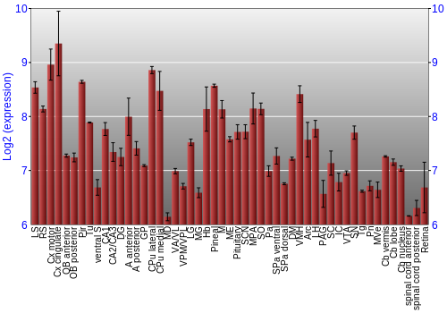 Expression graph